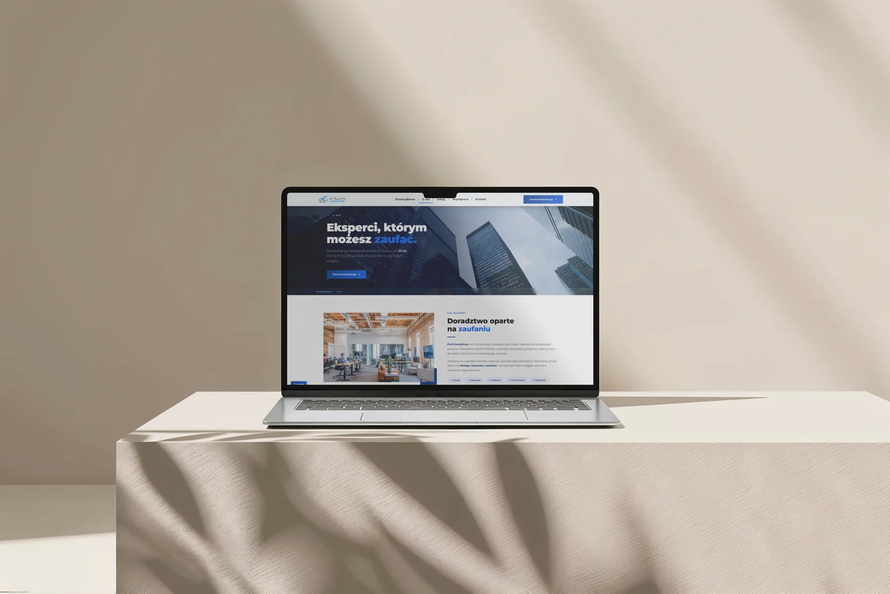 PLM Consulting